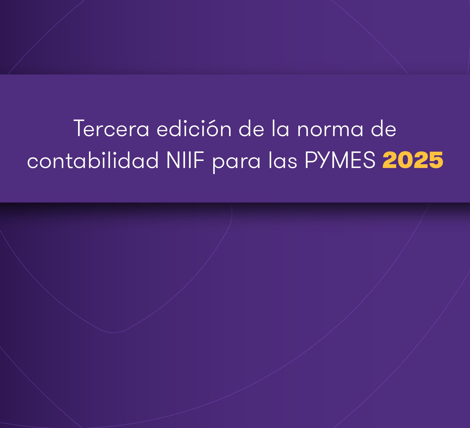 Tercera edición de la Norma de Contabilidad NIIF para las PYMES 2025