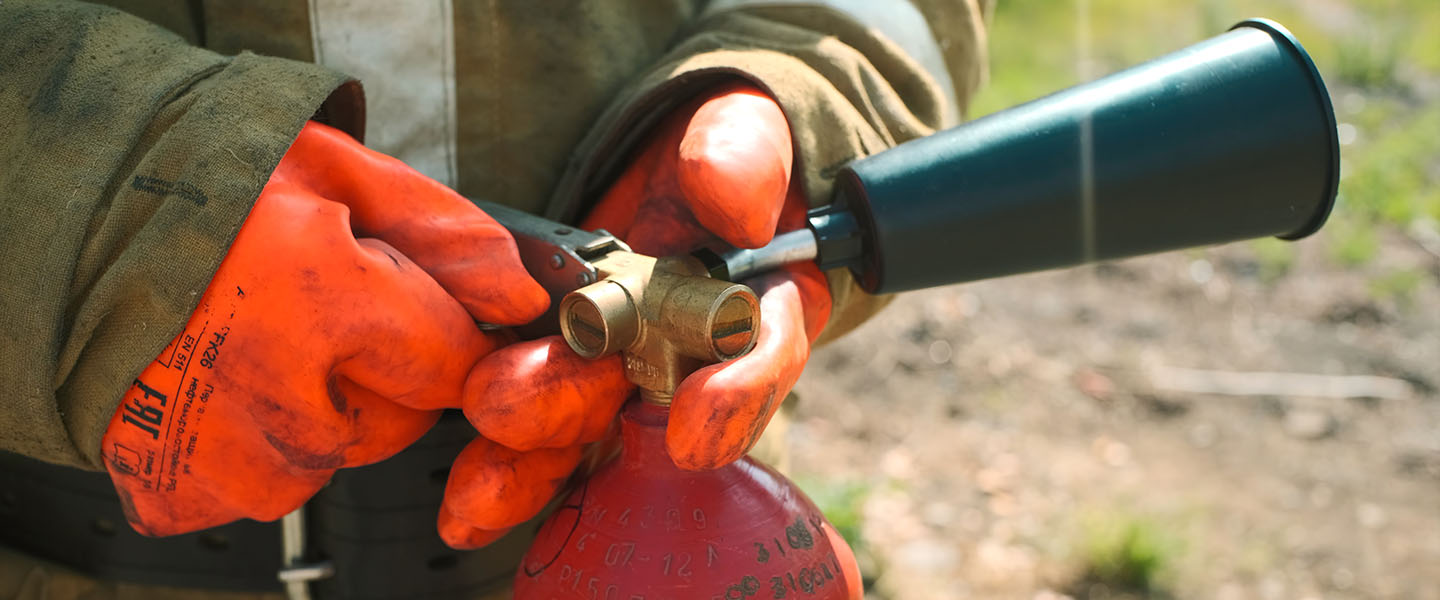 Acuerdo 927 de 2024 bogotá